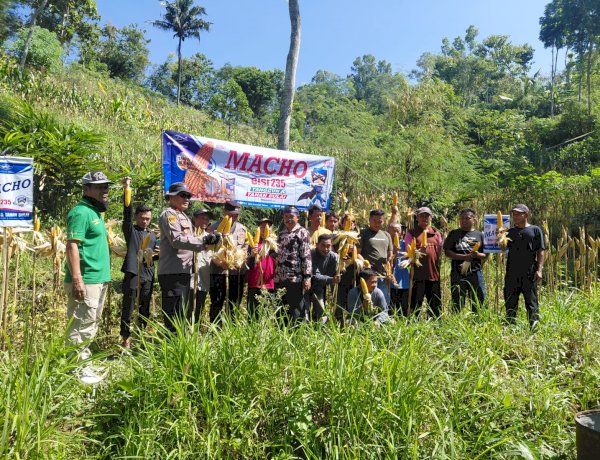 Polres Pacitan Genjot Produktivitas Jagung di Bandar, Dampingi Petani dan Evaluasi Kualitas Benih